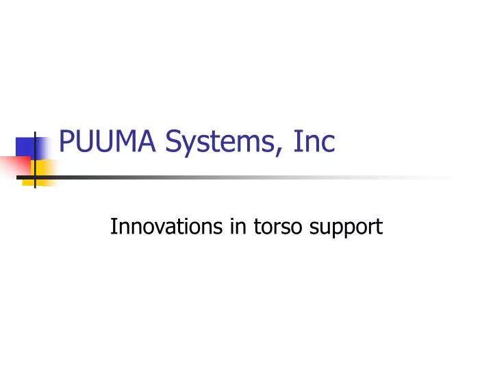 puuma systems inc