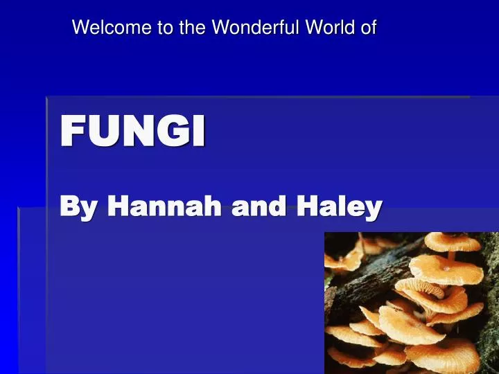 fungi by hannah and haley