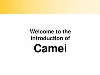 Welcome to the introduction of Camei