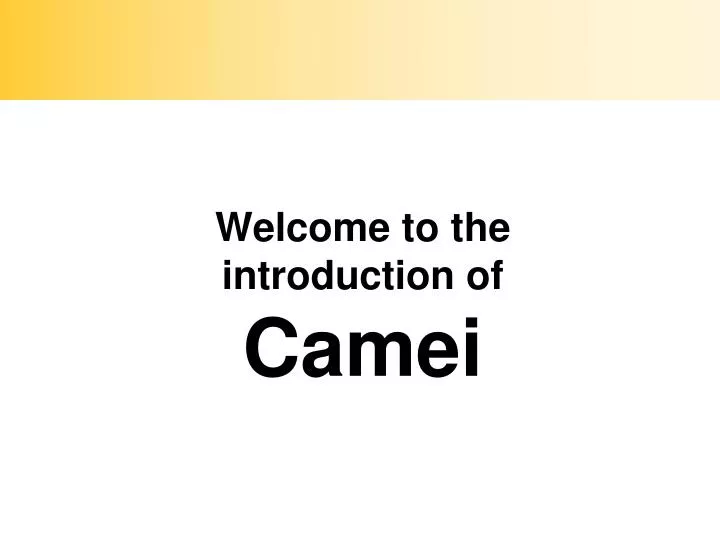 welcome to the introduction of camei