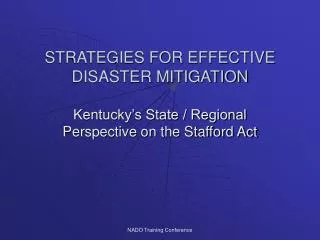STRATEGIES FOR EFFECTIVE DISASTER MITIGATION