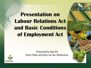 Presentation on Labour Relations Act and Basic Conditions of Employment Act
