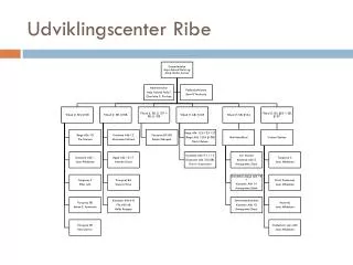 udviklingsc enter ribe