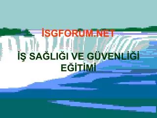 sgforum net sa li i ve g venl e t m