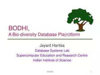 BODHI, A Bio-diversity Database Pla(n)tform