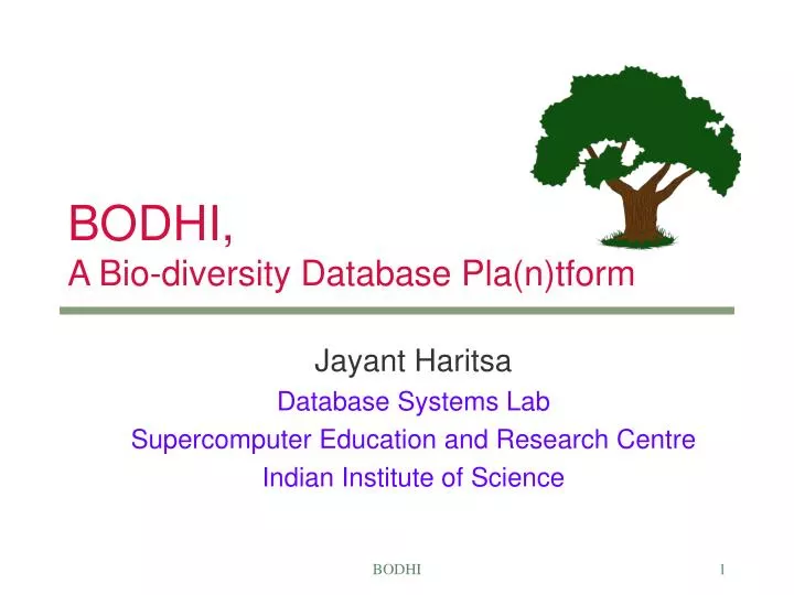 bodhi a bio diversity database pla n tform