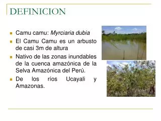 definicion