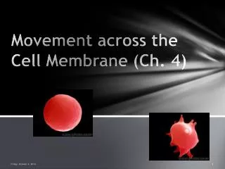 Movement across the Cell Membrane (Ch. 4)