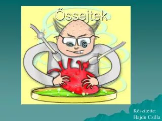 ssejtek
