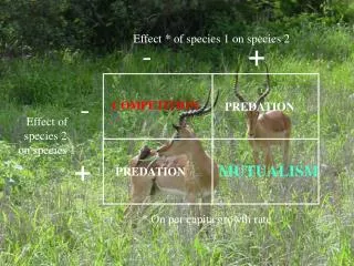 Effect * of species 1 on species 2