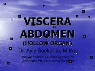 VISCERA ABDOMEN (HOLLOW ORGAN)