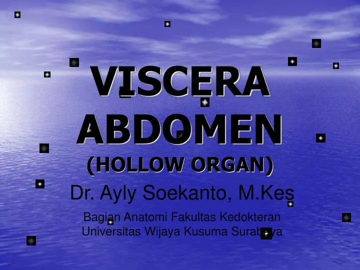 viscera abdomen hollow organ
