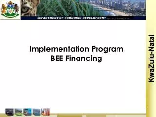 Implementation Program BEE Financing