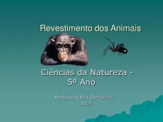 revestimento dos animais