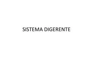 sistema digerente
