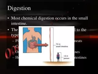 Digestion