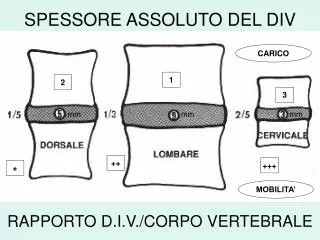 spessore assoluto del div