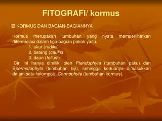 FITOGRAFI/ kormus