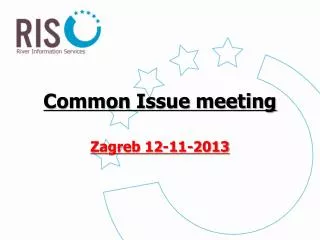 Common Issue meeting