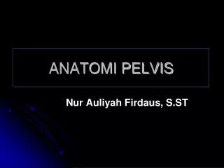anatomi pelvis