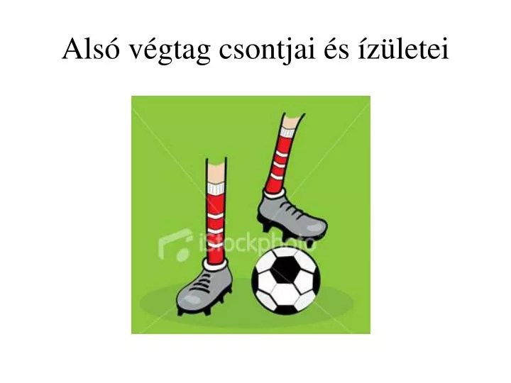 als v gtag csontjai s z letei