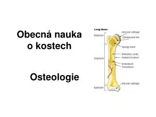 obecn nauka o kostech