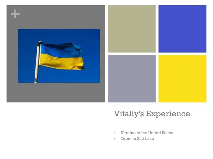 vitaliy s experience