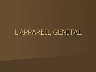 l a ppareil genital