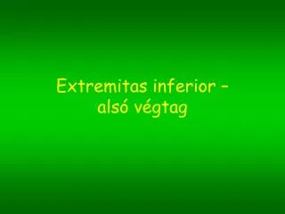 extremitas inferior als v gtag