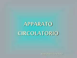 apparato circolatorio