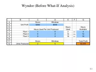 Wyndor (Before What-If Analysis)