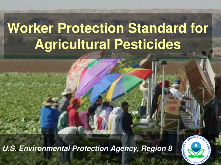 worker protection standard for agricultural pesticides