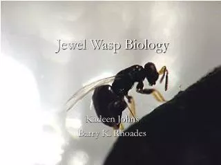 Jewel Wasp Biology