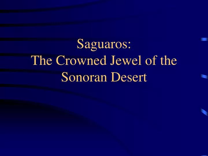 saguaros the crowned jewel of the sonoran desert