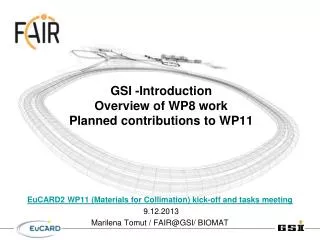 GSI -Introduction Overview of WP8 work Planned contributions to WP11