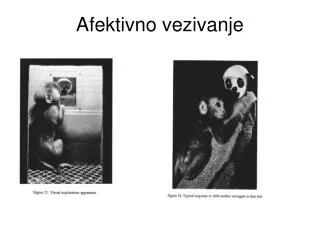 afektivno vezivanje