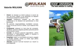 valorile wulkan