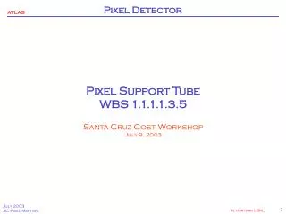 Pixel Support Tube WBS 1.1.1.1.3.5 Santa Cruz Cost Workshop July 9, 2003