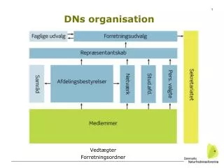 dns organisation