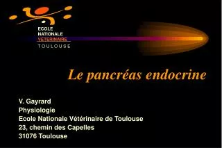 le pancr as endocrine