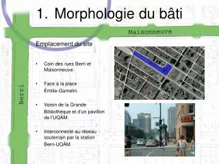 morphologie du b ti