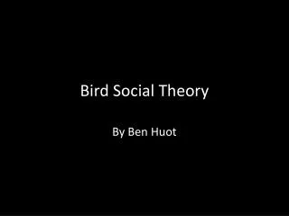 Bird Social Theory