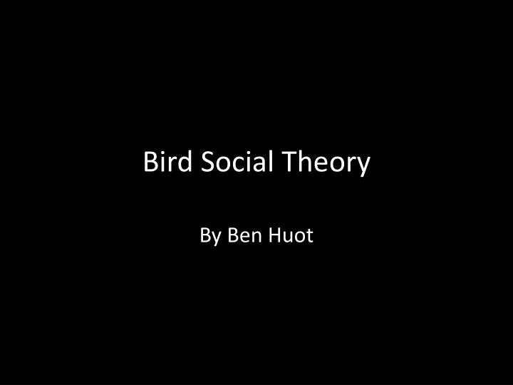 bird social theory