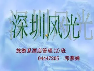 2 04447205