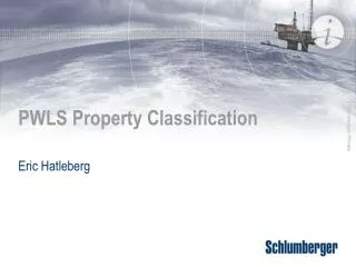 PWLS Property Classification