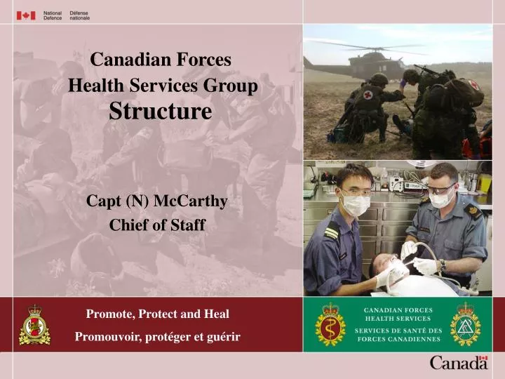canadian forces health services group structure