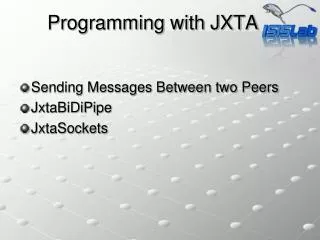 Programming with JXTA