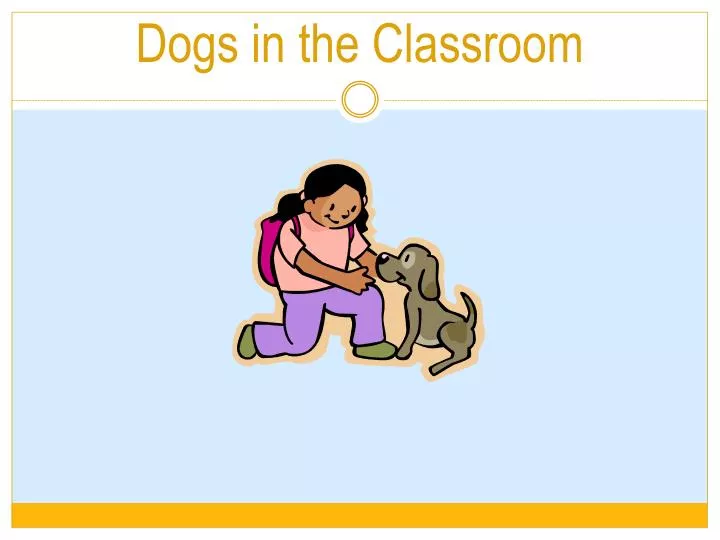 dogs in the classroom