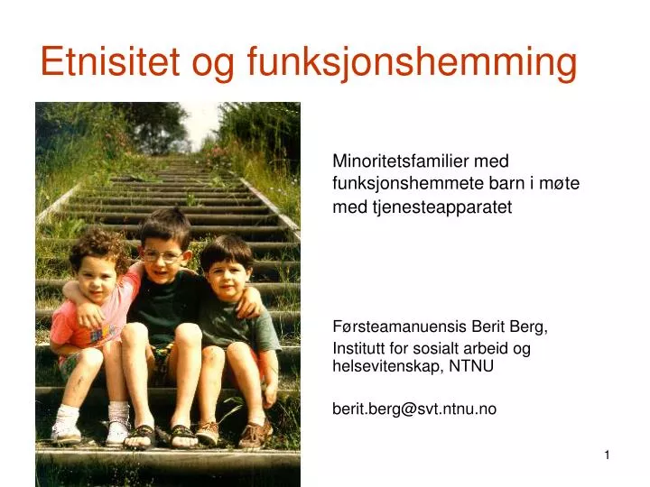 etnisitet og funksjonshemming