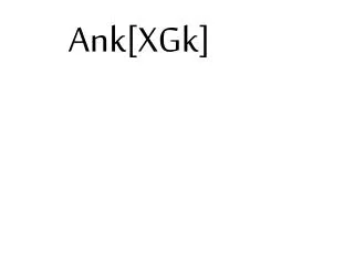 an k xgk